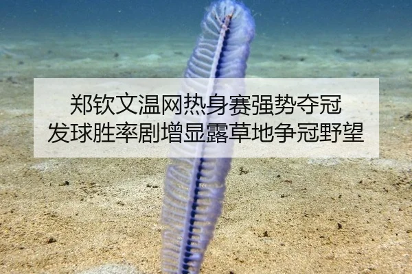 郑钦文温网热身赛强势夺冠 发球胜率剧增显露草地争冠野望