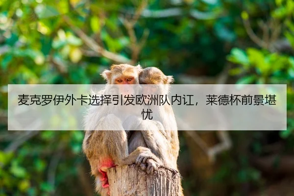 mai-ke-luo-yi-wai-ka-xuan-ze-yin-fa-ou-zhou-dui-nei-hong-lai-de-bei-qian-jing-kan-you-2-562.jpg