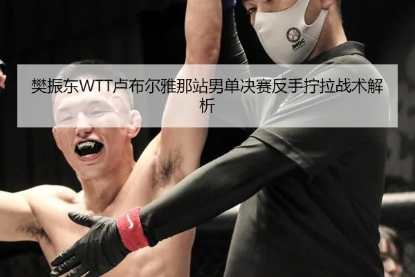 樊振东WTT卢布尔雅那站男单决赛反手拧拉战术解析