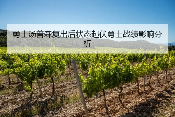 勇士汤普森复出后状态起伏勇士战绩影响分析