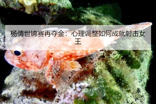 yang-qian-shi-jin-sai-zai-duo-jin-xin-li-tiao-zheng-ru-he-cheng-jiu-she-ji-nv-wang-3-410.jpg